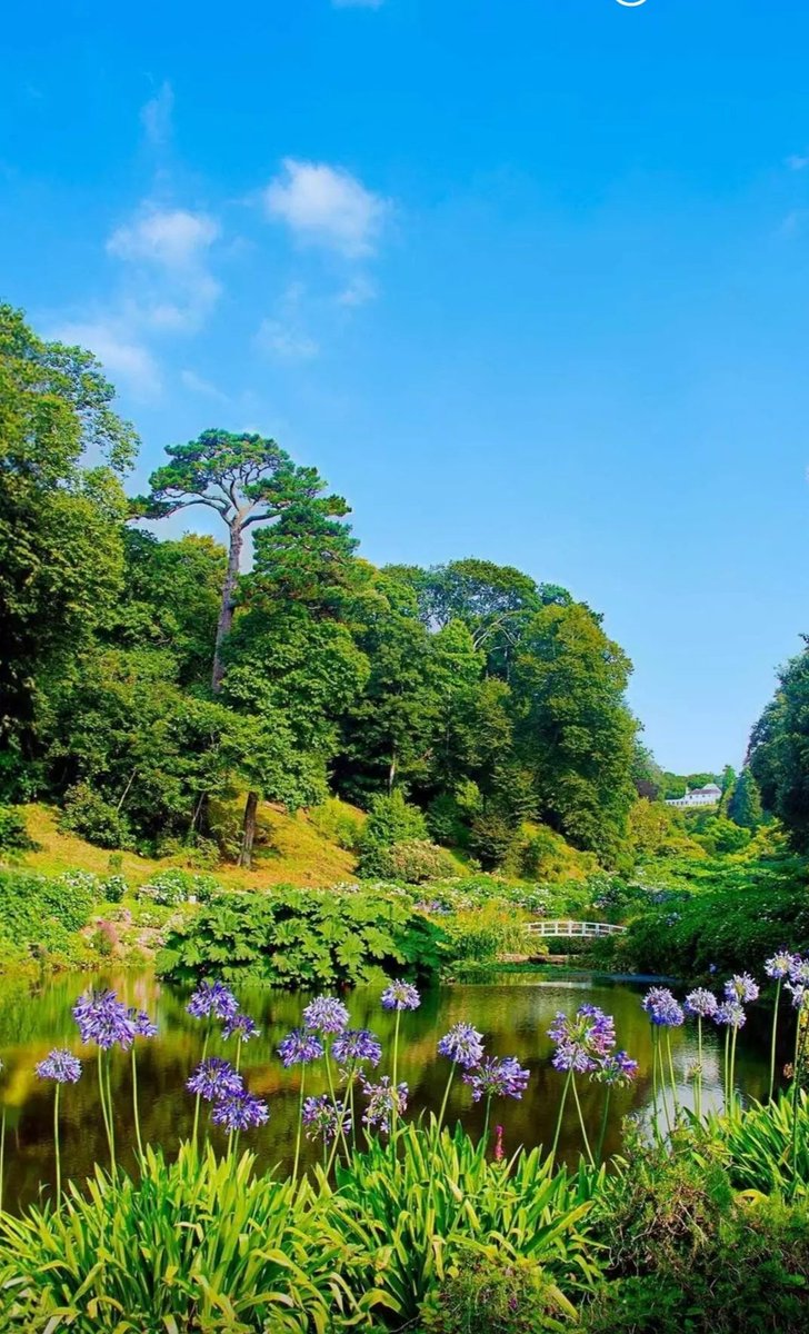 RAJESHY30767947's tweet image. किसी को वही देना की जब वापिस आये 

तो हंस के ले सको बात हो या व्यवहार!!!

क्योंकि दुनियां गोल है और नियति तय है 

❤️ राधे-राधे ❤️