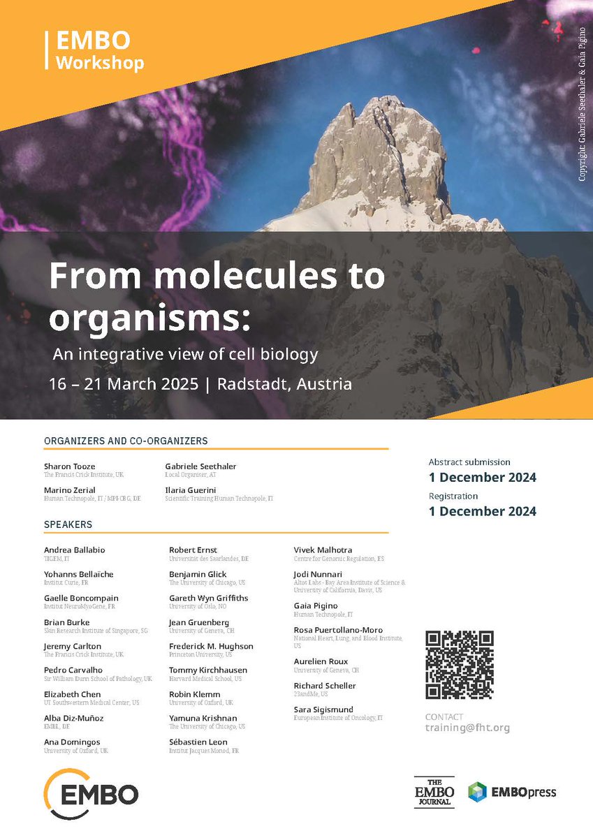 Human Technopole (@humantechnopole) on Twitter photo 🧪Interested in exploring new concepts in membrane trafficking and cell organization?
😉Join the <a href="/EMBO/">EMBO</a> #EMBOcellBio24 Workshop in Austria on 16-21 March '25. Organised by HT Director Marino <a href="/ZerialLab/">Zerial Lab</a> and <a href="/sharontooze01/">Sharon Tooze</a> from <a href="/TheCrick/">The Crick</a>
Register by 1 Dec👉 humantechnopole.it/en/trainings/f… 🧪Interested in exploring new concepts in membrane trafficking and cell organization?
😉Join the <a href="/EMBO/">EMBO</a> #EMBOcellBio24 Workshop in Austria on 16-21 March '25. Organised by HT Director Marino <a href="/ZerialLab/">Zerial Lab</a> and <a href="/sharontooze01/">Sharon Tooze</a> from <a href="/TheCrick/">The Crick</a>
Register by 1 Dec👉 humantechnopole.it/en/trainings/f…