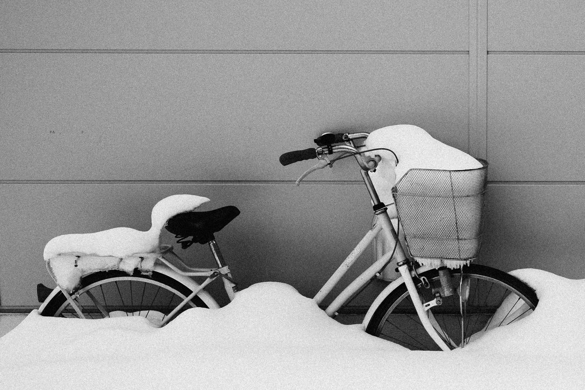 govoes's tweet photo. Street Photography in Sapporo https://t.co/UPlCZN61WU