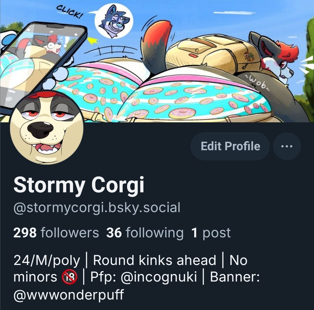 Stormy Corgi 💖 tweet media