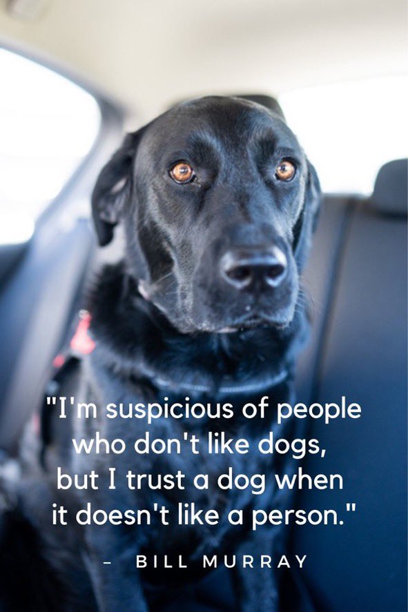 Backspacer tweet media