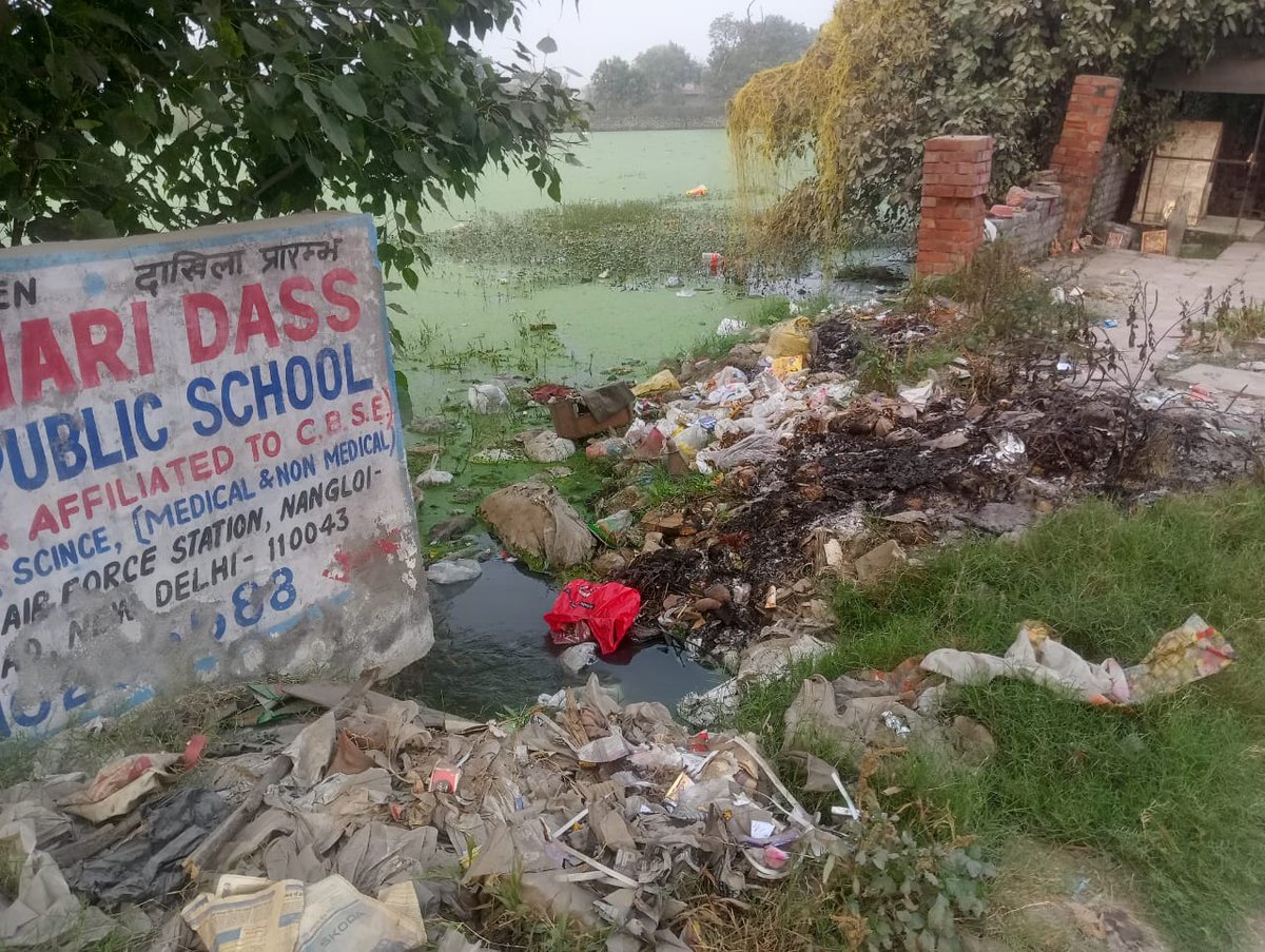 नांगलोई नजफगढ़ के मेन रोड पर पाया गया डेंगू प्लांट। इस प्लांट के लिए <a href="/DelhiPwd/">PWD Delhi</a> <a href="/MCD_Delhi/">Municipal Corporation of Delhi</a> को बहुत बहुत धन्यवाद। #USAElection2024 #KabhiMainKabhiTum #แบนแน็กชาลี #KabhiMainKabhiTum <a href="/aadmi_ki/">AAM AADMI KI AWAAZ NATIONAL ORGANIZATION</a> <a href="/PMOIndia/">PMO India</a> <a href="/AtishiAAP/">Atishi</a> <a href="/najafgarhconfes/">Najafgarh Confessions</a>