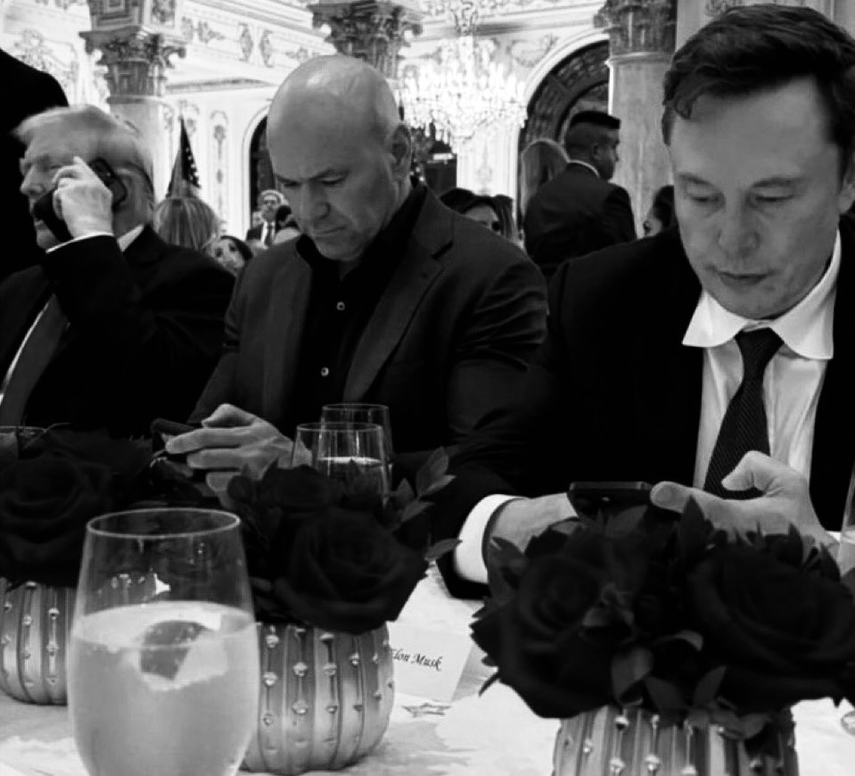 DerpFinn (@derpfinn) on Twitter photo 