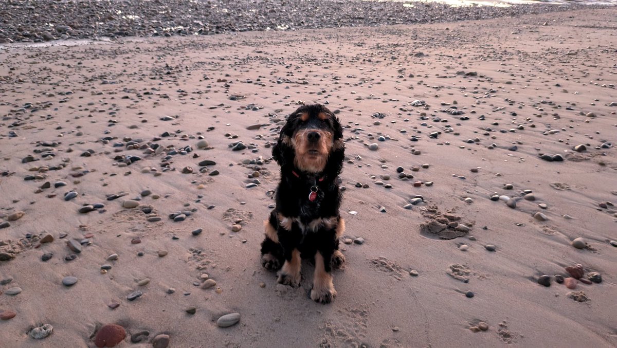 Craig Lea Gordon tweet media