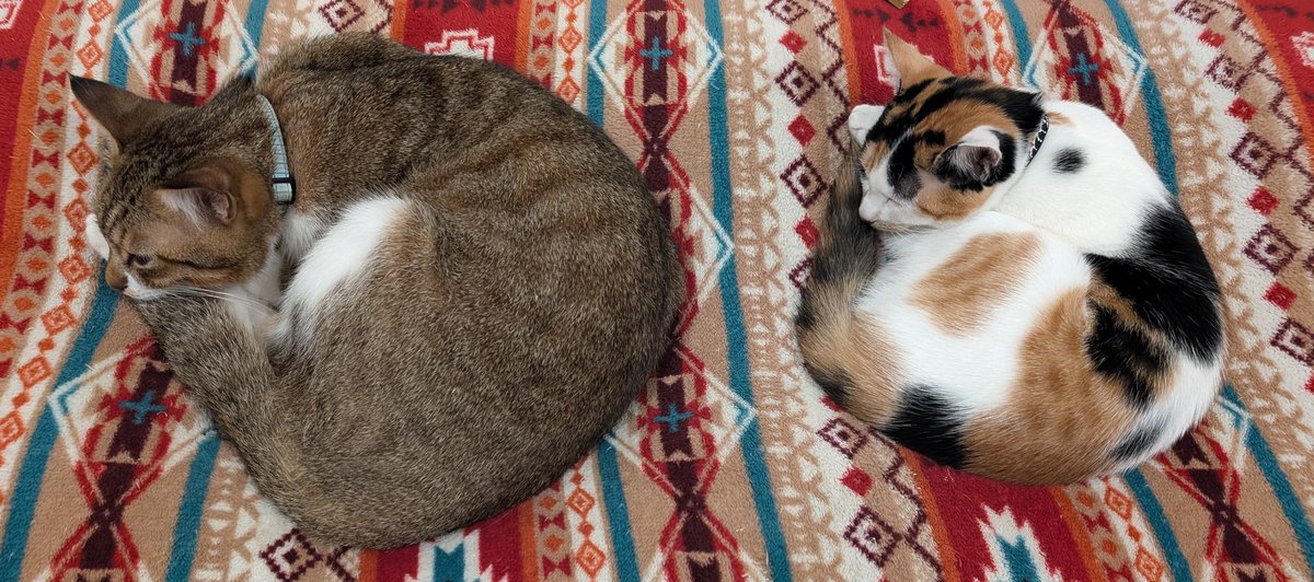 シンクロ率99.9999999999