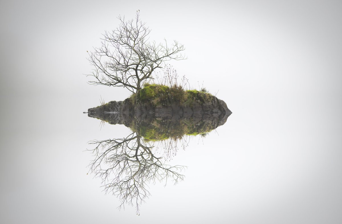 david_gange's tweet image. The stillest morning &amp;amp; the thickest fog. Quiet but for flocks of fieldfare. Probably should&apos;ve stayed out on the water.
