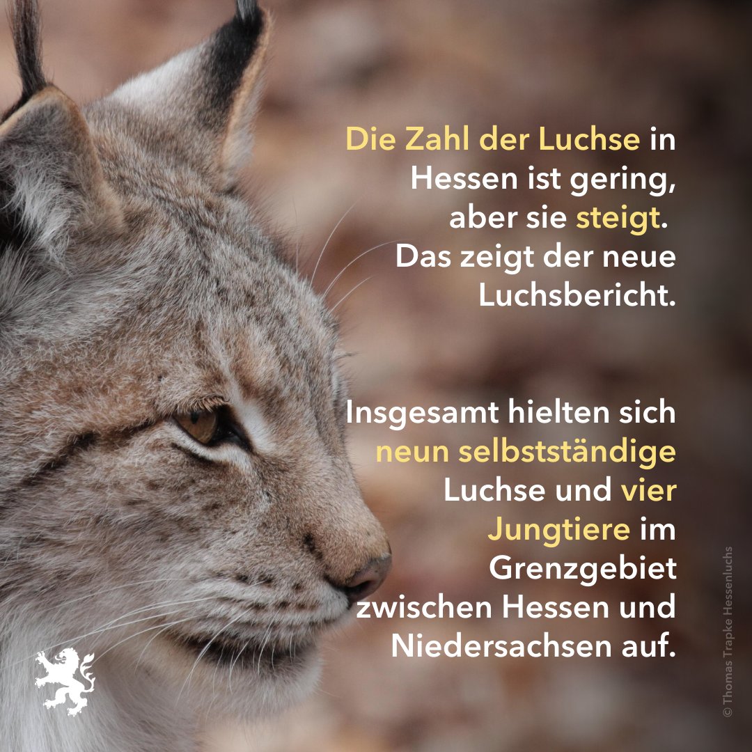 Ministerium für Landwirtschaft und Umwelt Hessen tweet media