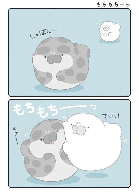 落ち込んだ時にもちもちしてくれるもちお( ˙ ꒳ ˙ )
#もちたぷあざらし 