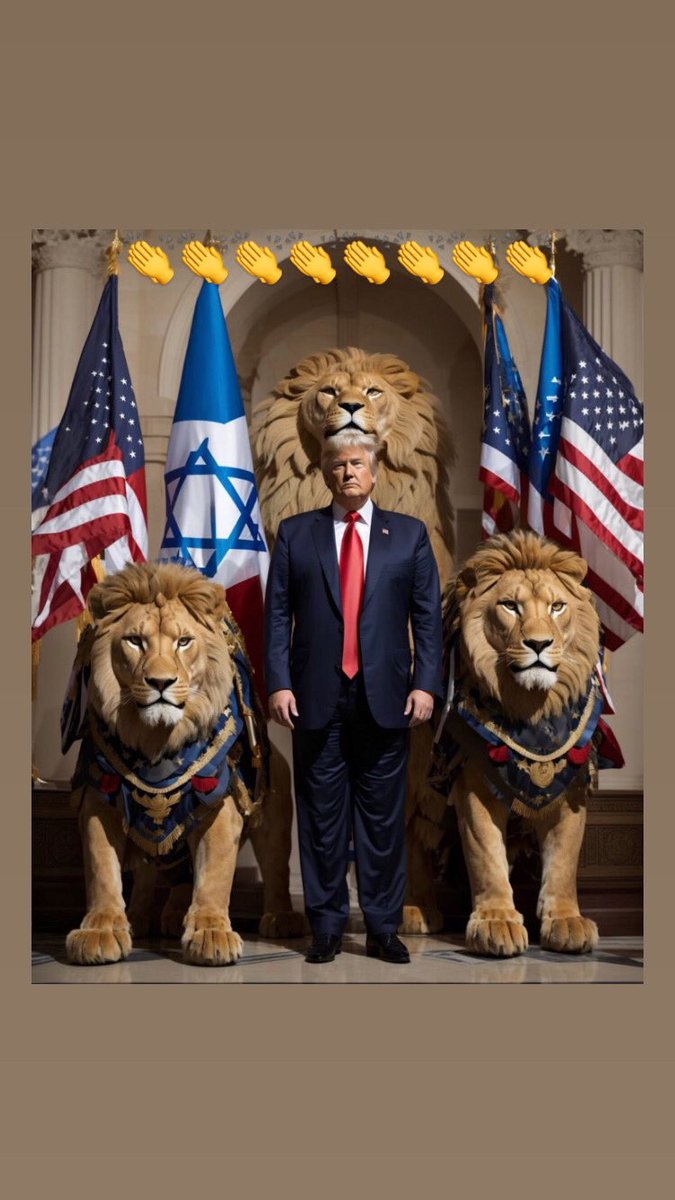 Braga Netto (@braganetto_gen) on Twitter photo 