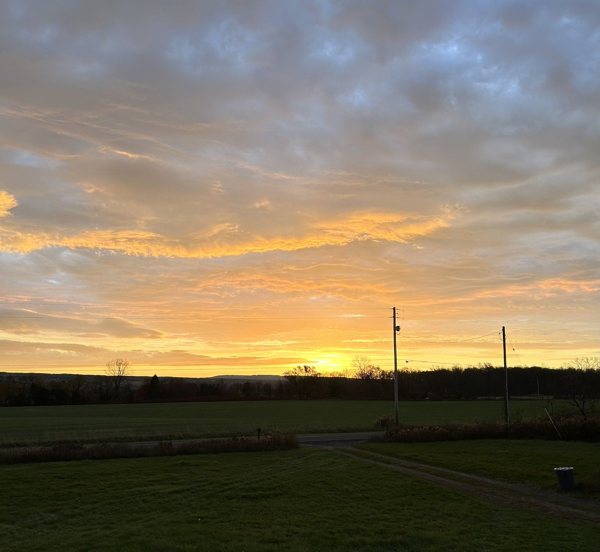 Sue Tierney tweet media