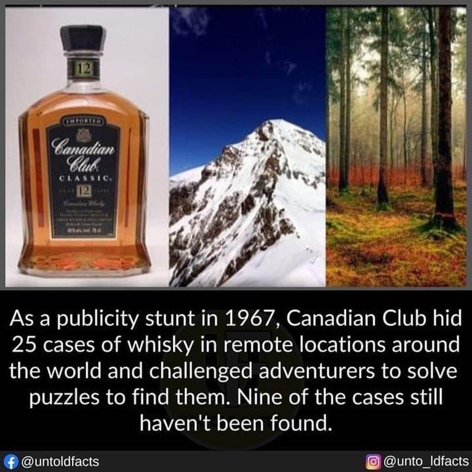 XStarWake tweet media