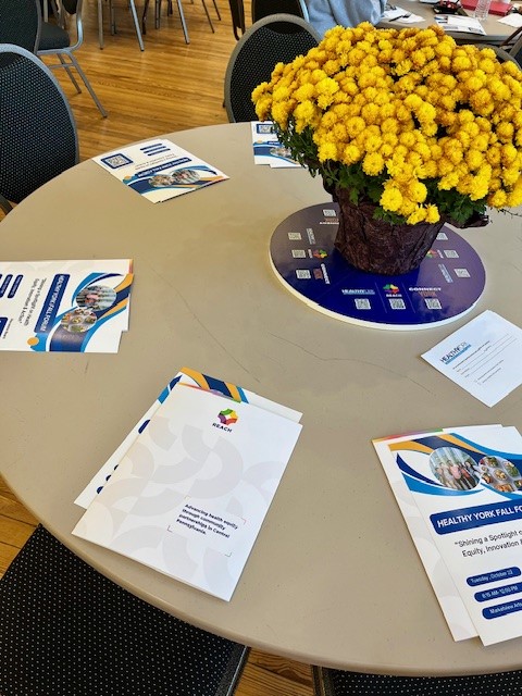 Hayman Studio tweet media