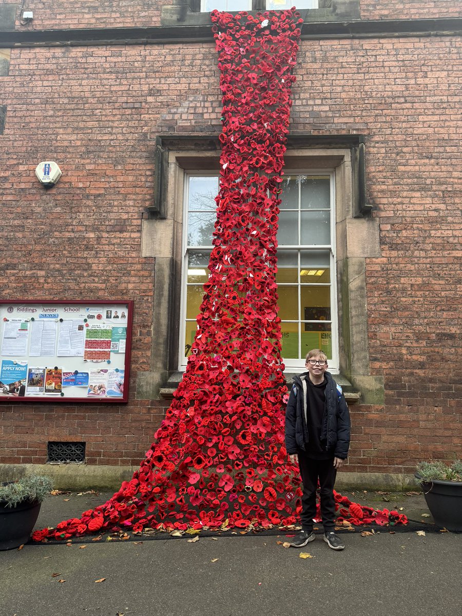 sarahjanePM's tweet photo. We love the poppy display at @RiddingsJnr ❤️❤️❤️😭 https://t.co/DBS9uNXGGD