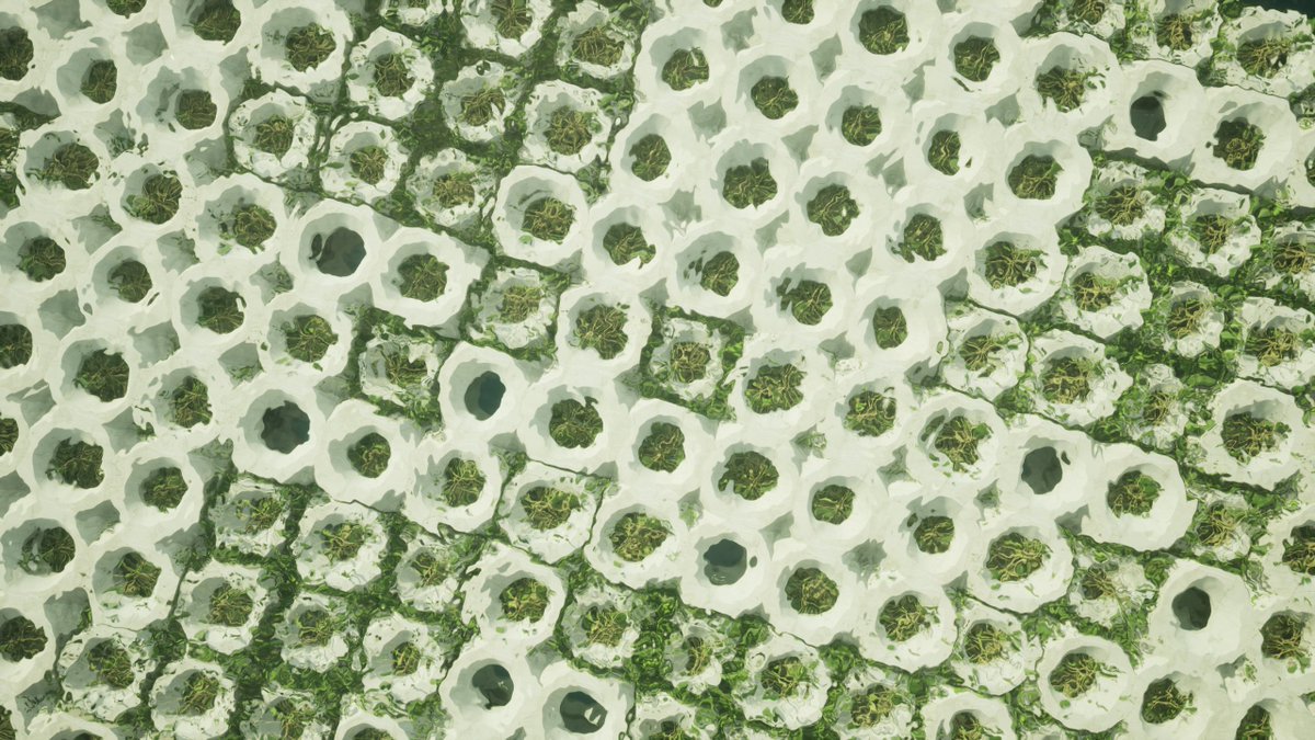 EXPOCITI tweet media