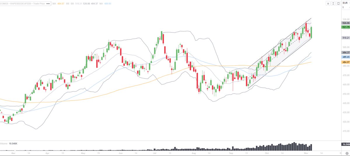 Position nette acheteuse record des fonds sur le #colza : +49 118 lots.  🔥📈
Poursuite de la hausse du colza aujourd'hui alors que le #soja reculait. #matif #rapeseed #moneymanagers #ags