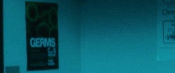 anything_scream's tweet image. Guess the Scream movie: