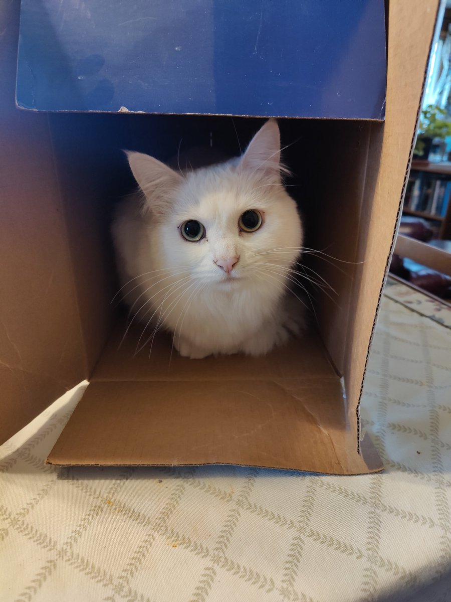 Plese takimg the Care of yourself today ! Maybe go an spend an Bit time in an Box, it always make the me feel Bettre :)