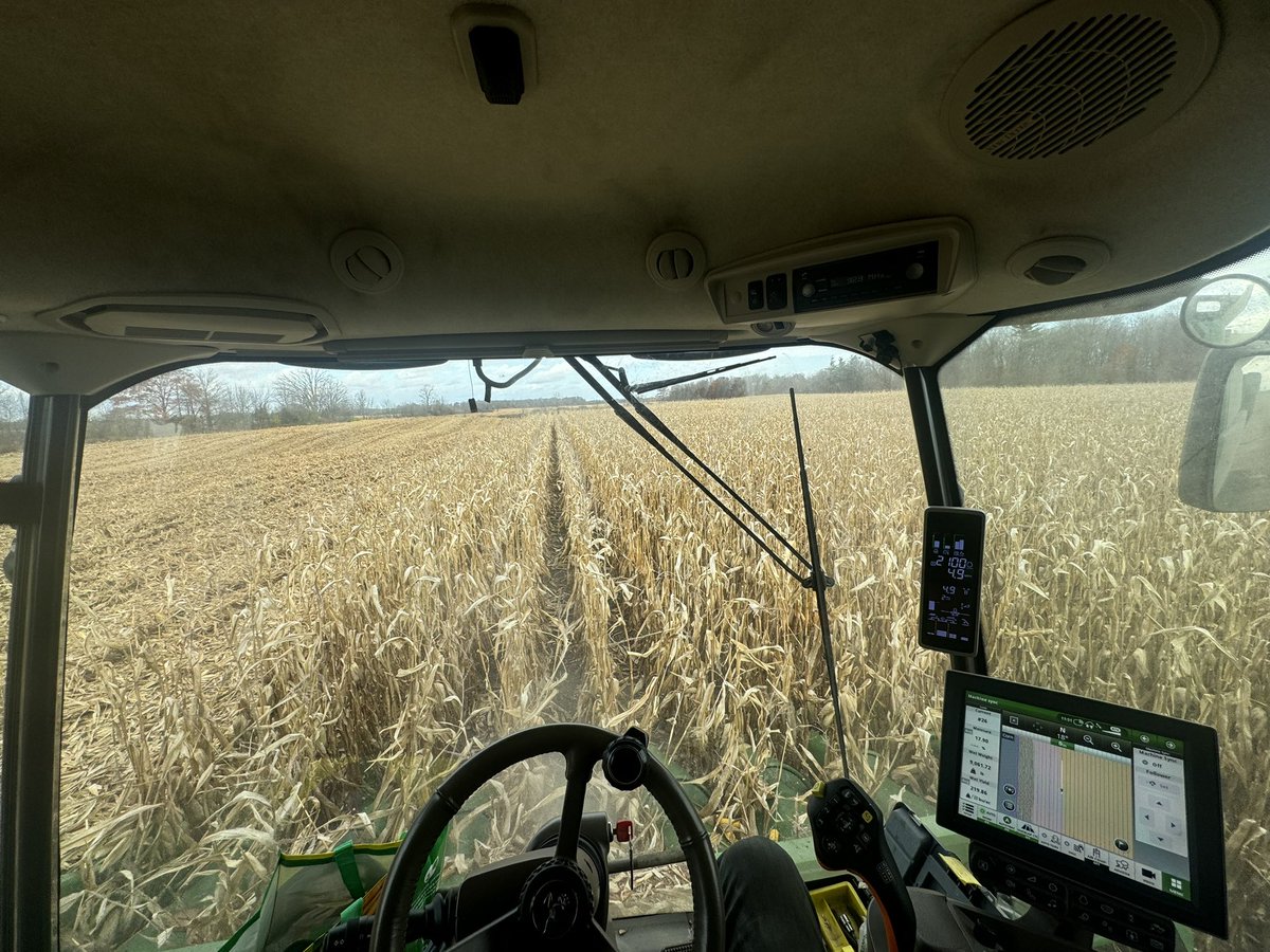 Great day for corn!!