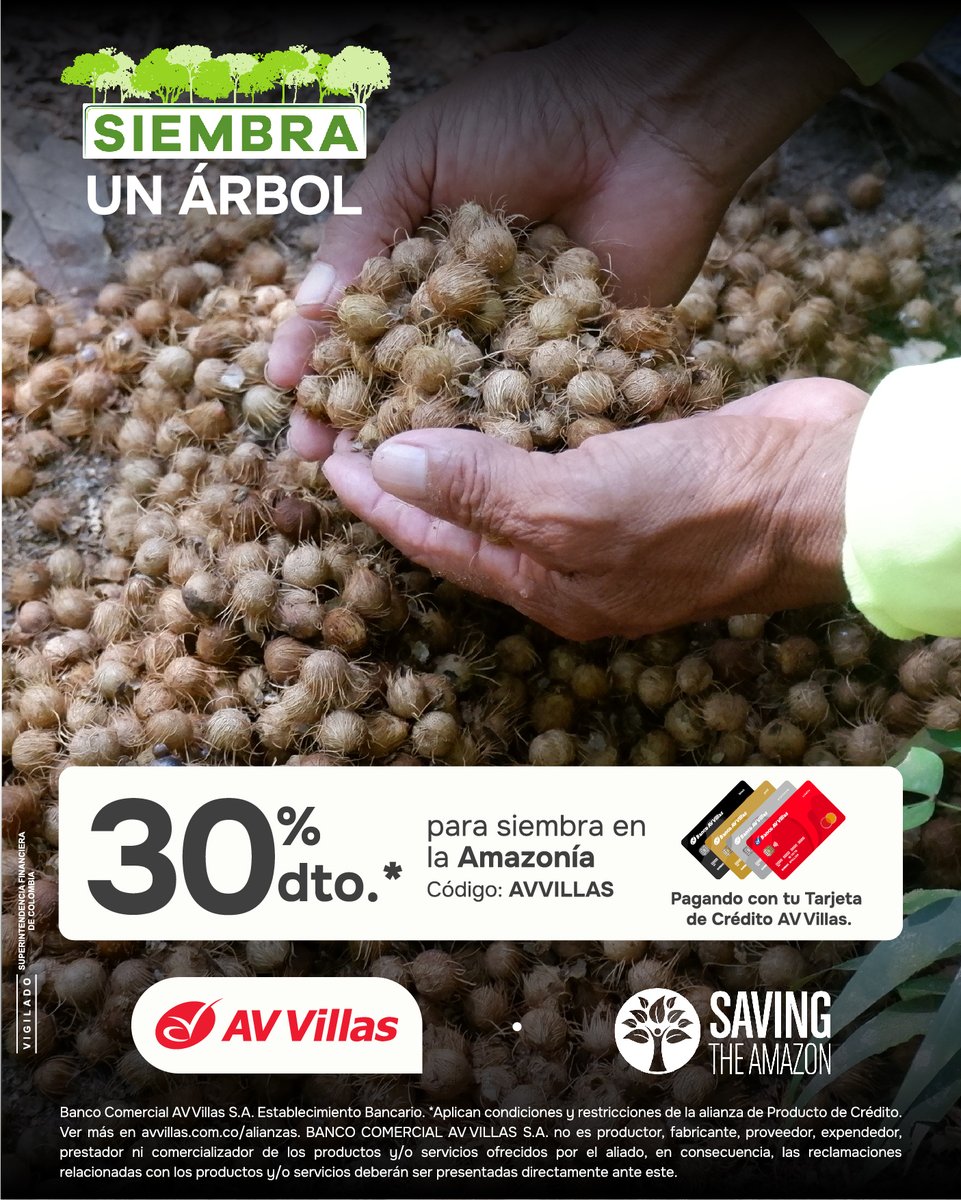 Saving The Amazon tweet media