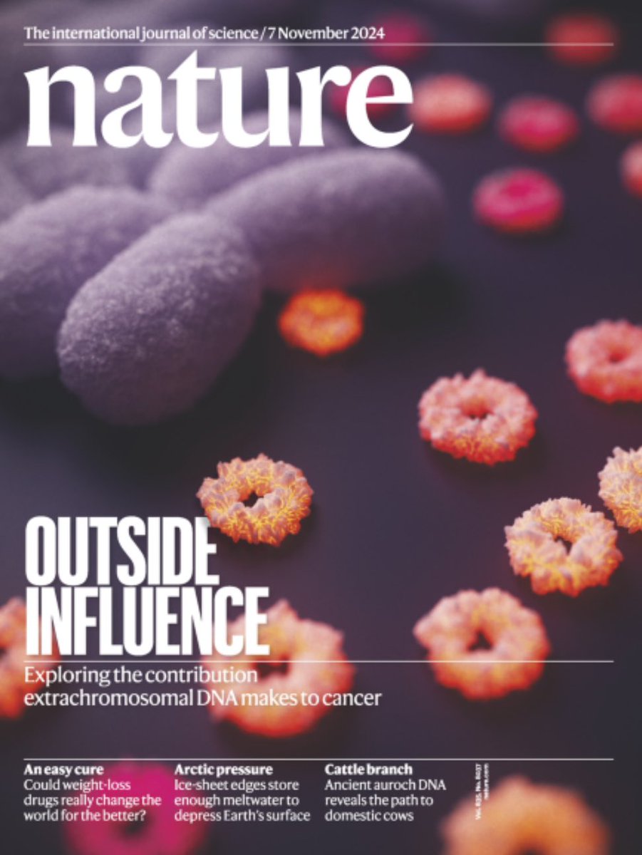 anton_gh's tweet photo. @BrucknerLotte @RoChamorro1 @Nature What a beauty , look at these ecDNA on the cover !! https://t.co/DBSwyk1Hcd