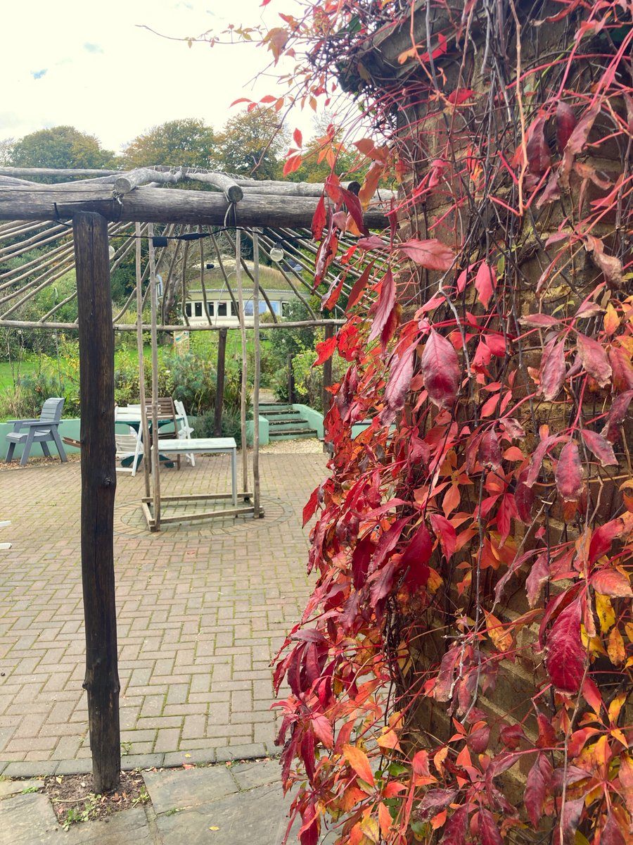Autumn colours in the Pines Garden. In the garden and Tea Room we're prepping for the week ahead, but we're also taking a moment to enjoying the final flourishes of colour that this season has to offer 🍂

#AutumnColours #ThePinesGarden #AutumnLeaves #KentGarden #StMargaretsBay
