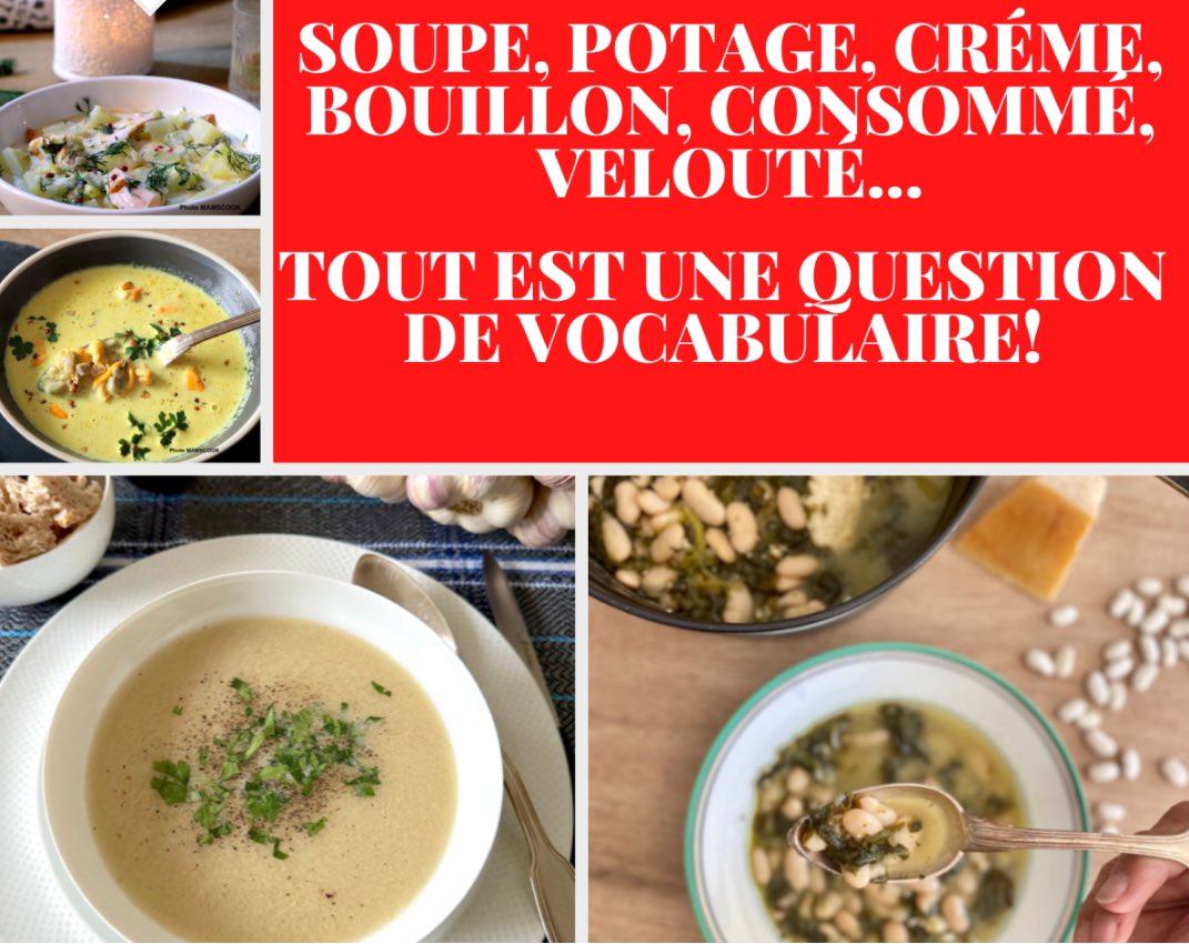 Avez vous remarqué comment sur nombre de sujet notre #vocabulaire se réduit s’appauvrit inexorablement!
Prenons l’exemple du mot #soupe, devenu le seul utilisé pour parler de consommé velouté crème… 
Un nouvel article sur ce vocabulaire en perdition ! 
mamscook.com/2024/11/06/le-…