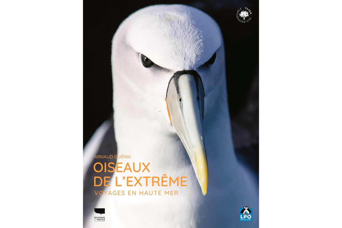 BlogMyWildlife's tweet image. Oiseaux de l'Extrême : Voyages en Haute Mer d'Arnaud Guérin est un beau livre qui nous emmène à la rencontre des oiseaux pélagiques. Instructif et émouvant my-wildlife.com/oiseaux-de-lex… 🐧