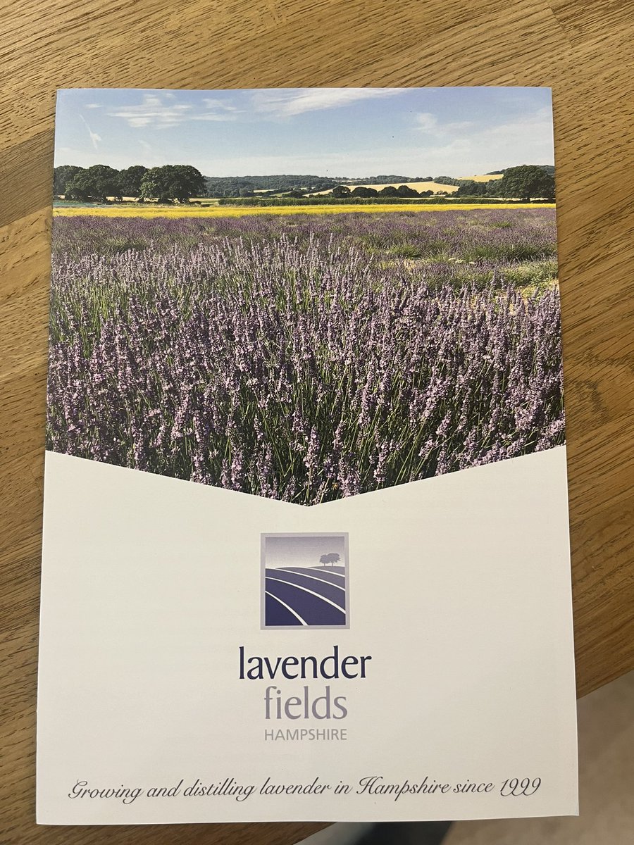 Holly Shearman tweet media