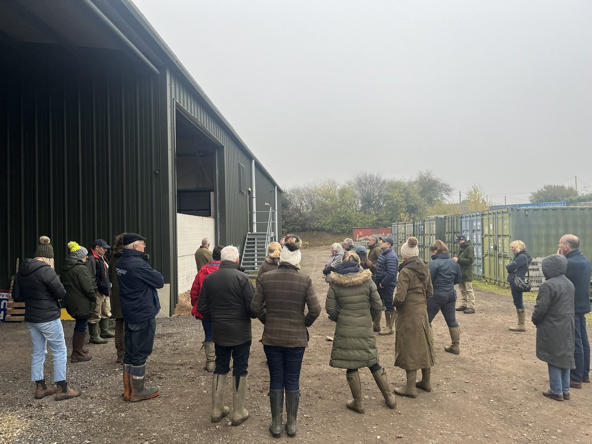 Holly Shearman tweet media