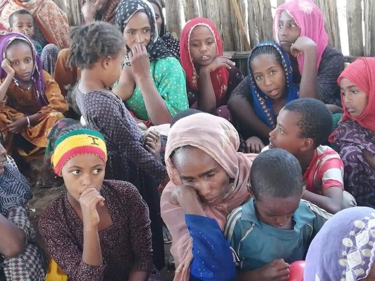 ተጀምሯል!

We said it for months #AmharaGenocide is routine

<a href="/amnesty/">Amnesty International</a> confirmed today “What is now being witnessed in the #Amhara region shows that mass arbitrary detentions have become a routine tactic.”

What more evidence do you need to break your silence?
<a href="/UN/">United Nations</a>
<a href="/CNN/">CNN</a>
<a href="/BBC/">BBC</a>