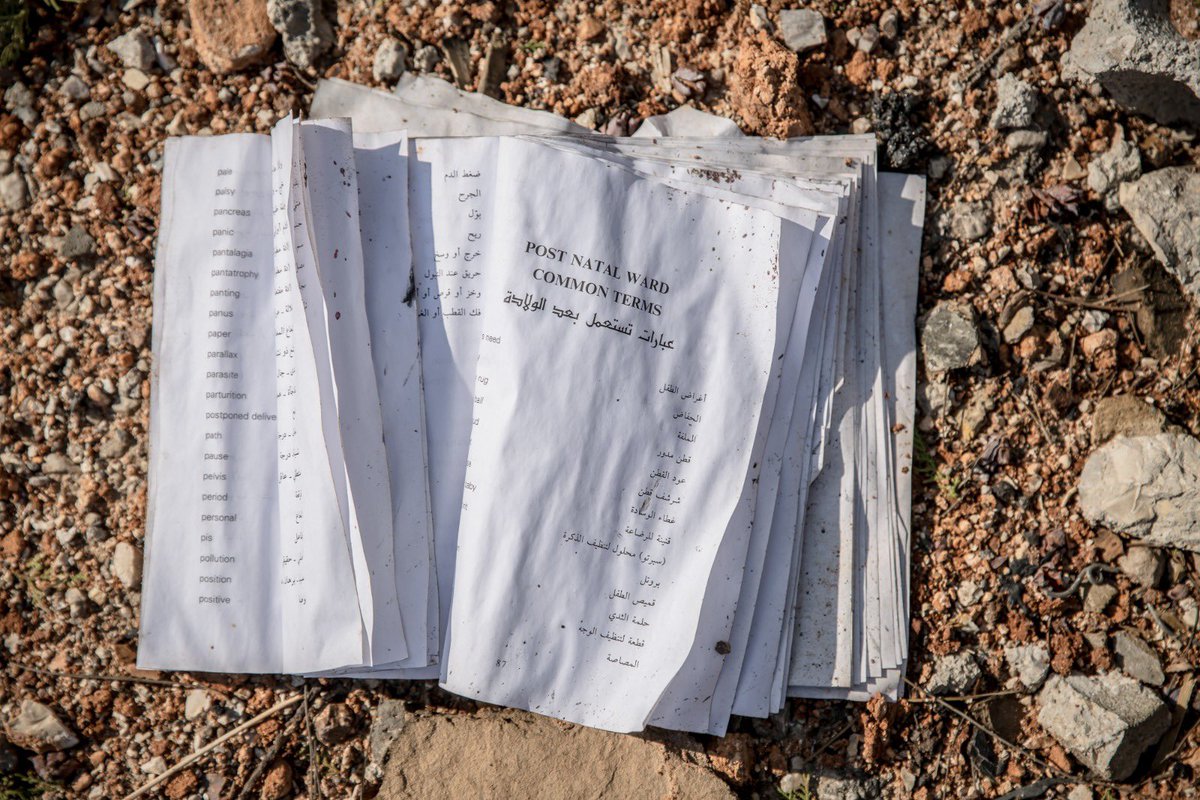 Sally Hayden tweet media