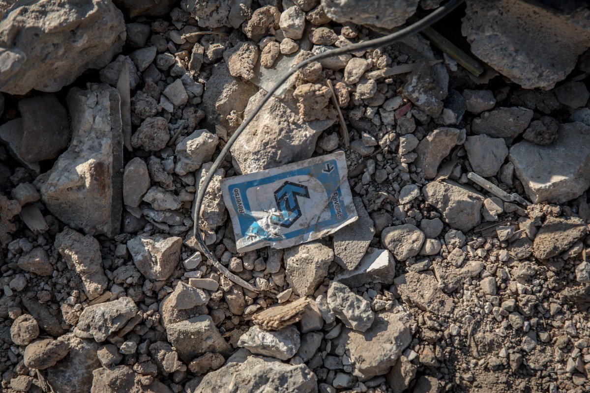 Sally Hayden tweet media