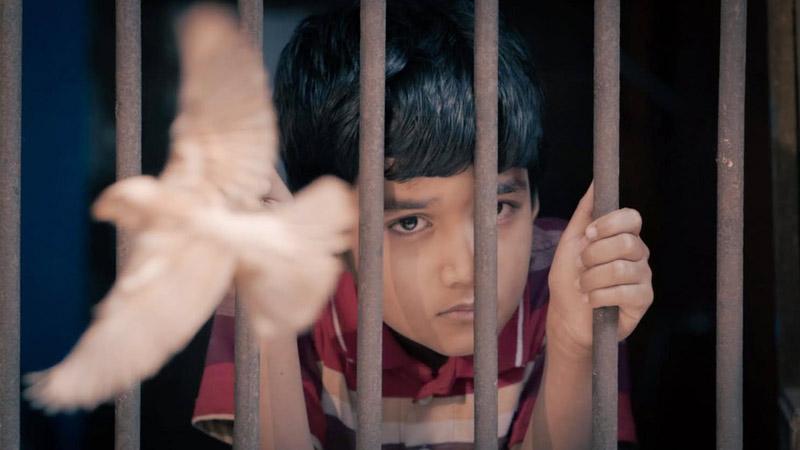 Festival Scope tweet media