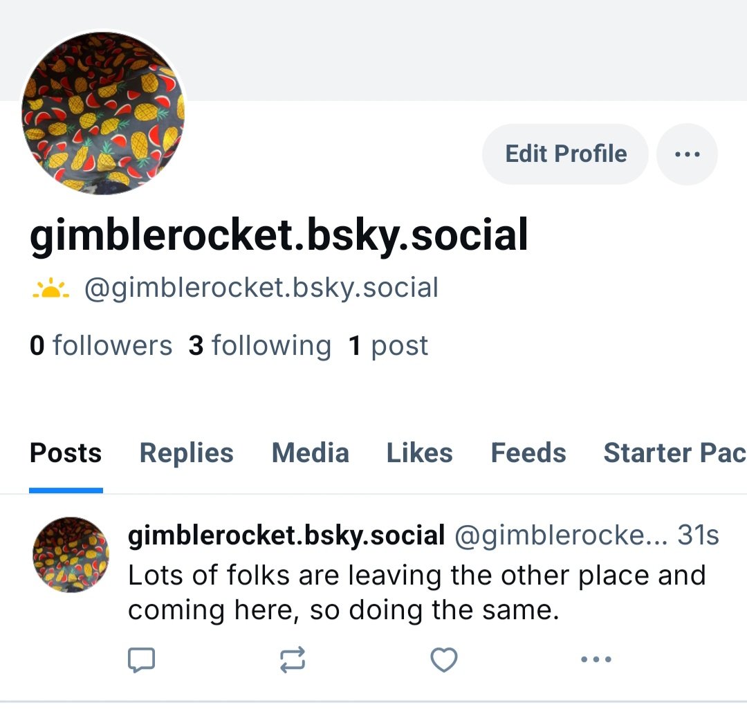 @gimblerocket.bsky.social tweet media