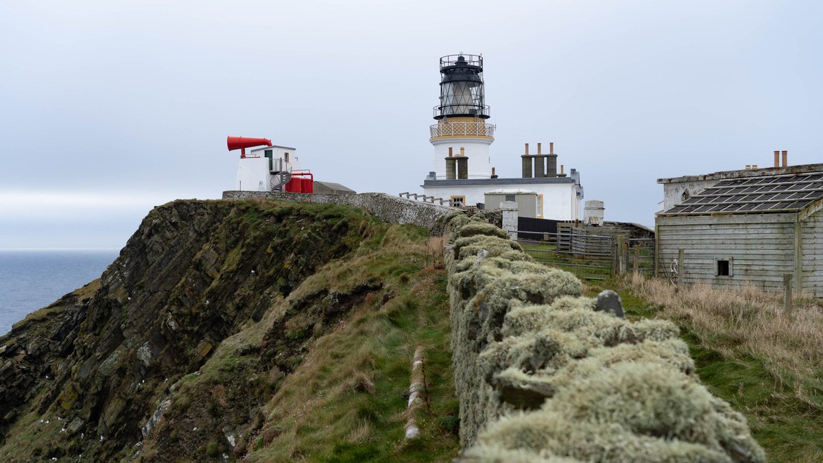 Ross Mackenzie tweet media