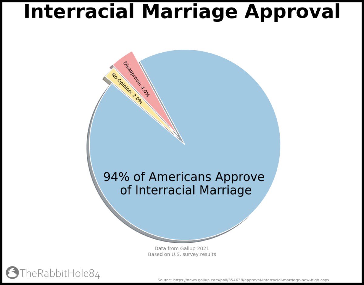 The Rabbit Hole tweet media