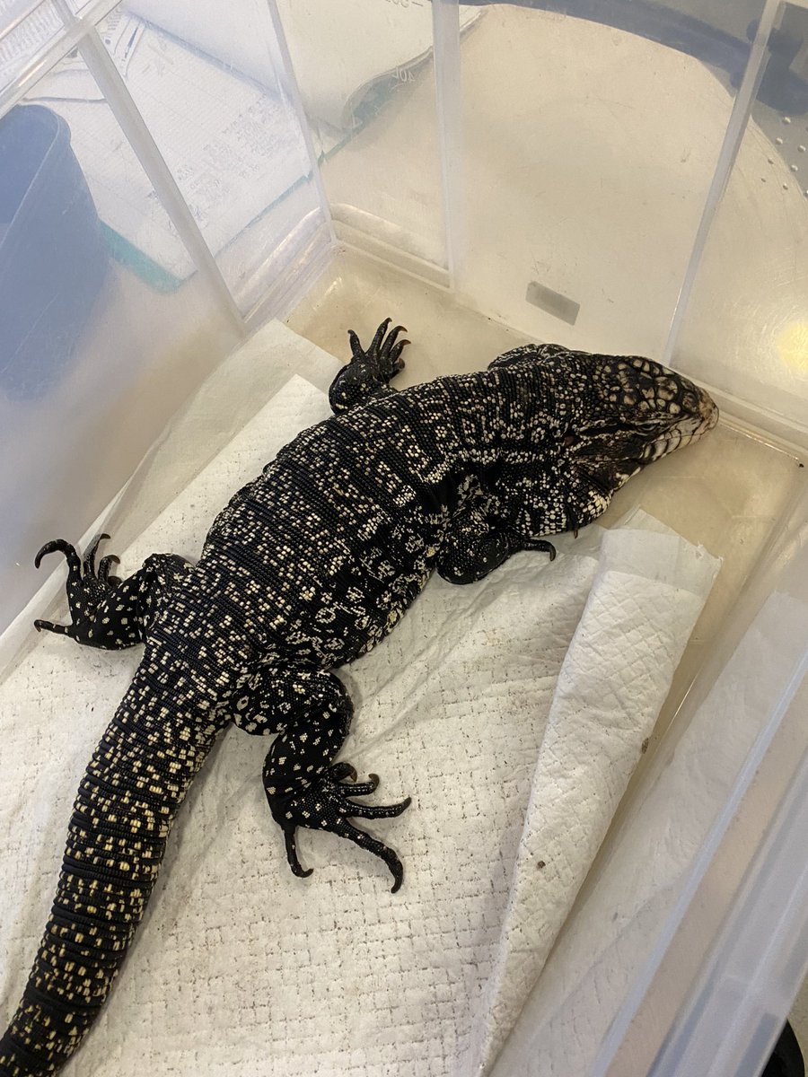 @Jan_Lowrynhs tweet media