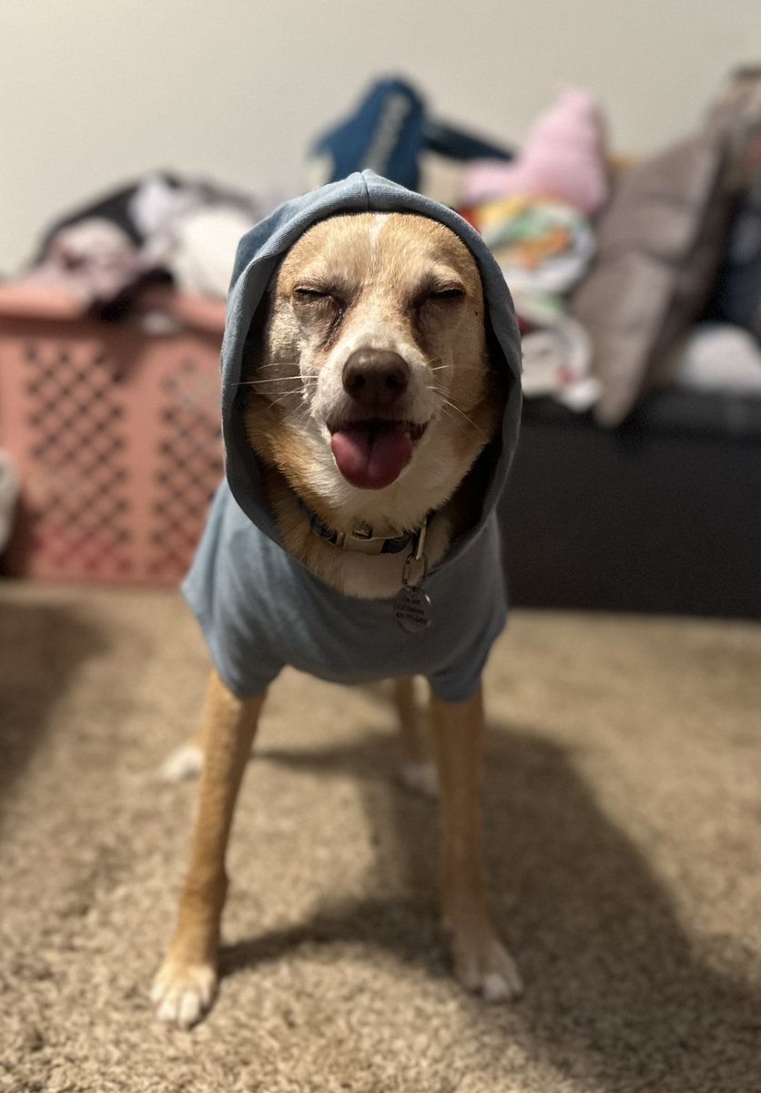 🧡DeAnna💙 tweet media