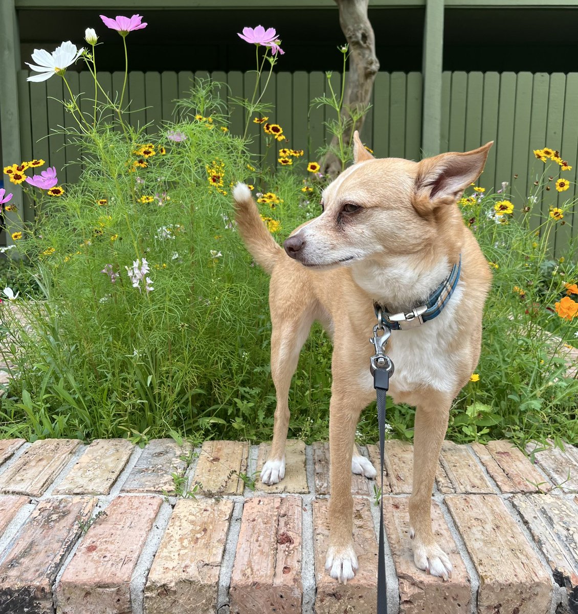 🧡DeAnna💙 tweet media