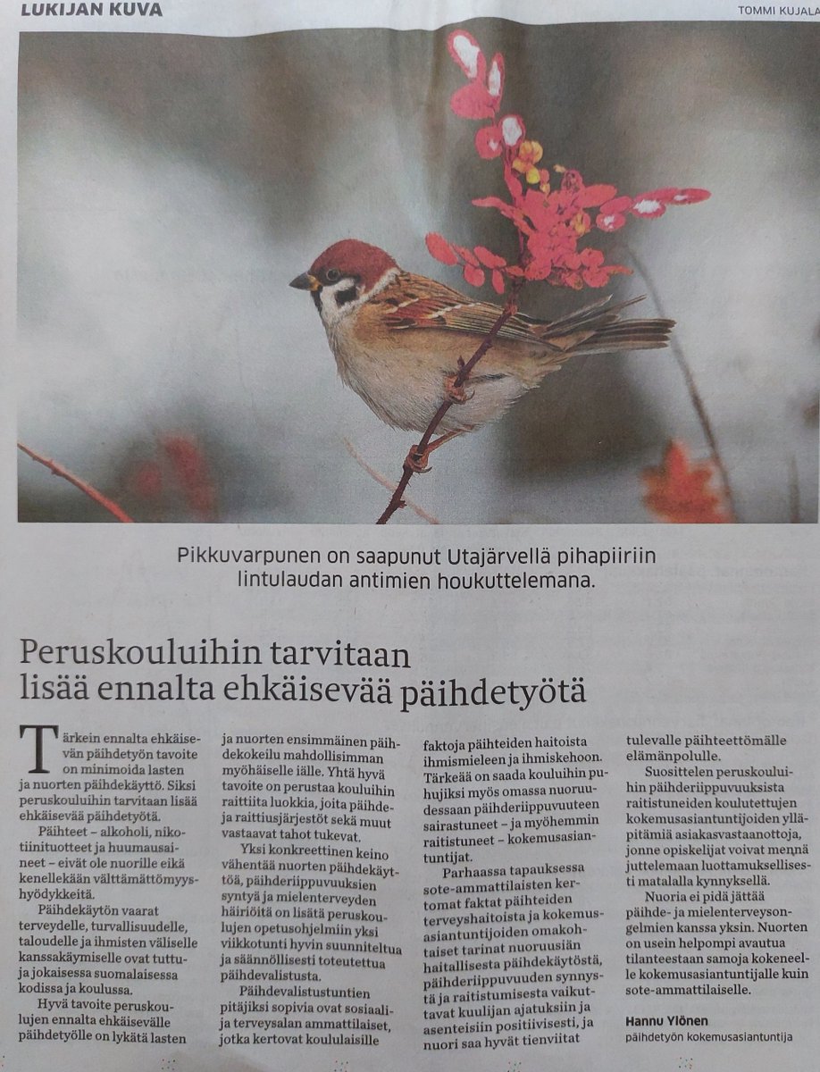 Hyvä tavoite ehkäisevälle päihdetyölle on lykätä nuorten  ensimmäinen päihdekokeilu (alkoholi, nikotiinituotteet, huumausaineet) mahdollisimman myöhäiselle iälle. Toivon, että päihdekokeilut vähenevät, ja raittiiden nuorten määrä kasvaa  tulevina vuosina. #EPTViikko <a href="/EPTverkosto/">EPT-verkosto</a>