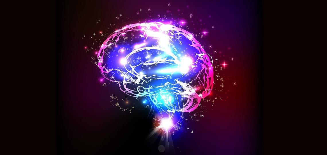 From the Labs at Baylor College of Medicine (@bcmfromthelabs) on Twitter photo Drs. B Deneen, <a href="/m_r_williamson/">Michael Williamson</a>, W. Kwon et al changed the way we think about #memory. Not only neurons, but #astrocytes, #star-shaped #brain cells, hold and recall memories. <a href="/Nature/">nature</a> <a href="/bcmhouston/">BCMHouston</a> <a href="/BCMNeurosurgery/">BCM Neurosurgery</a> <a href="/TCHResearchNews/">TCHResearchNews</a> #BCMPostdoc bcm.edu/news/brain-sta… Drs. B Deneen, <a href="/m_r_williamson/">Michael Williamson</a>, W. Kwon et al changed the way we think about #memory. Not only neurons, but #astrocytes, #star-shaped #brain cells, hold and recall memories. <a href="/Nature/">nature</a> <a href="/bcmhouston/">BCMHouston</a> <a href="/BCMNeurosurgery/">BCM Neurosurgery</a> <a href="/TCHResearchNews/">TCHResearchNews</a> #BCMPostdoc bcm.edu/news/brain-sta…