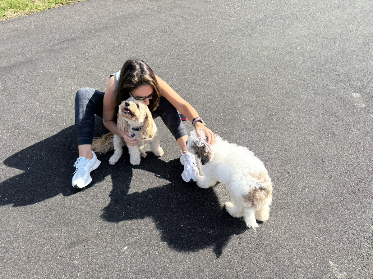 Steve Giordano tweet media