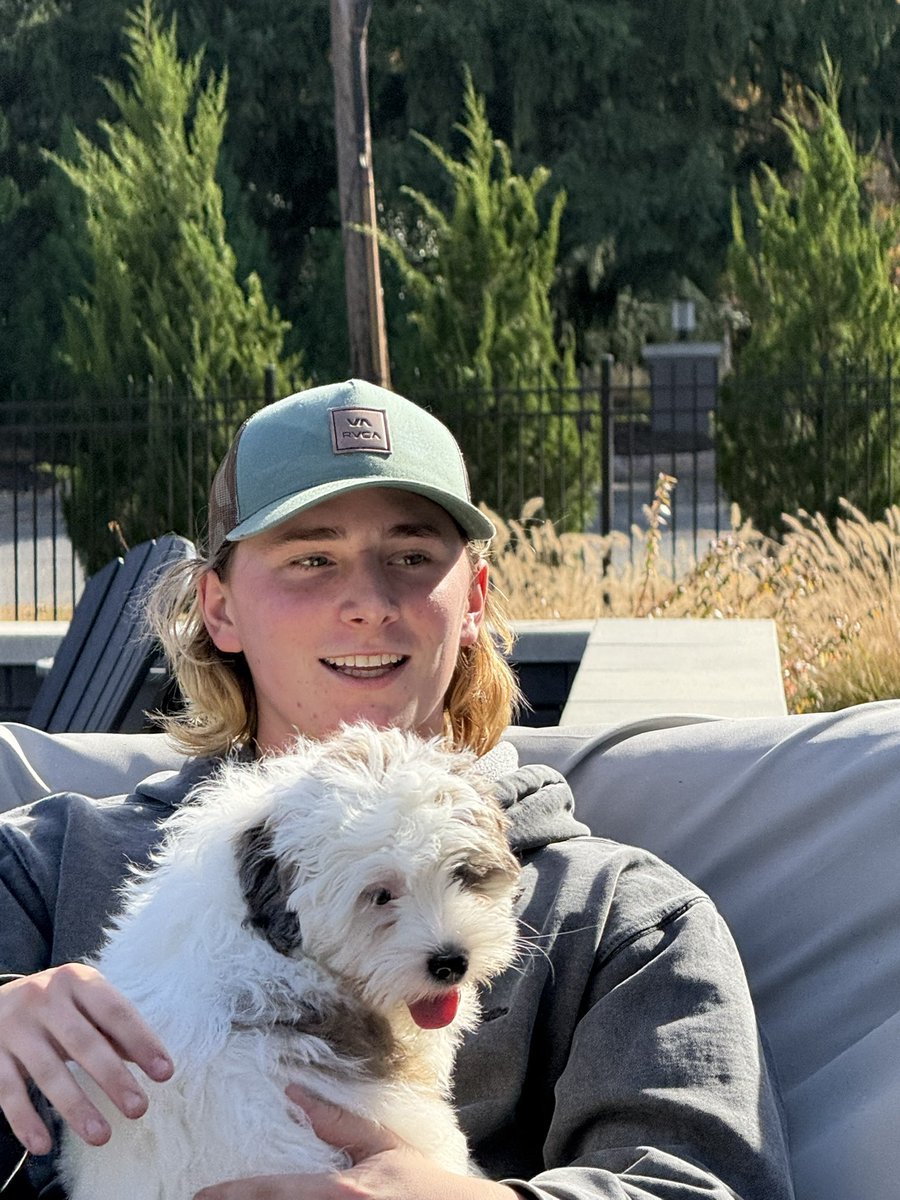 Steve Giordano tweet media