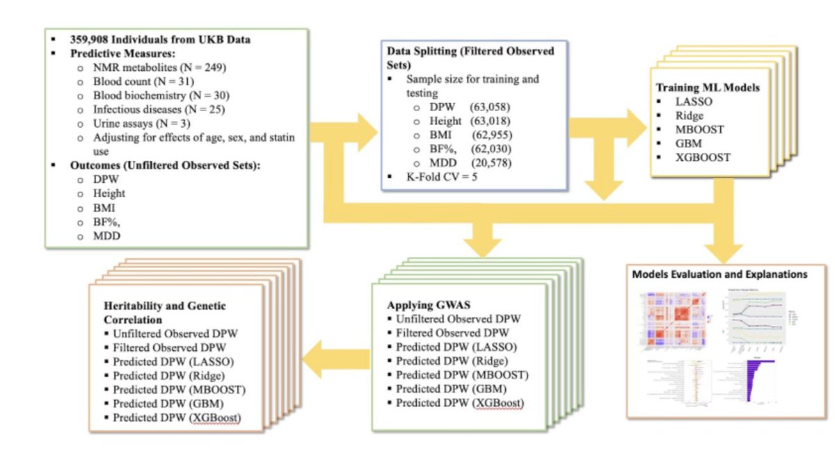 3/3, Don’t miss <a href="/MufalhHassan/">Mohammed Hassan</a> at #ASHG2024! "Genetic Correlations Inform ML-Based Identification of Heavy Alcohol Consumption Using Biomarkers." 🤖 Discover how ML boosts prediction and screening! 🗓️ 11/7, 2:30-4:30 PM MT. #Genetics #ML <a href="/BToddWebb/">Todd Webb</a> <a href="/AmandaEGentry/">Amanda E. Gentry</a> <a href="/PetersonRoseann/">Dr. Rosie</a>