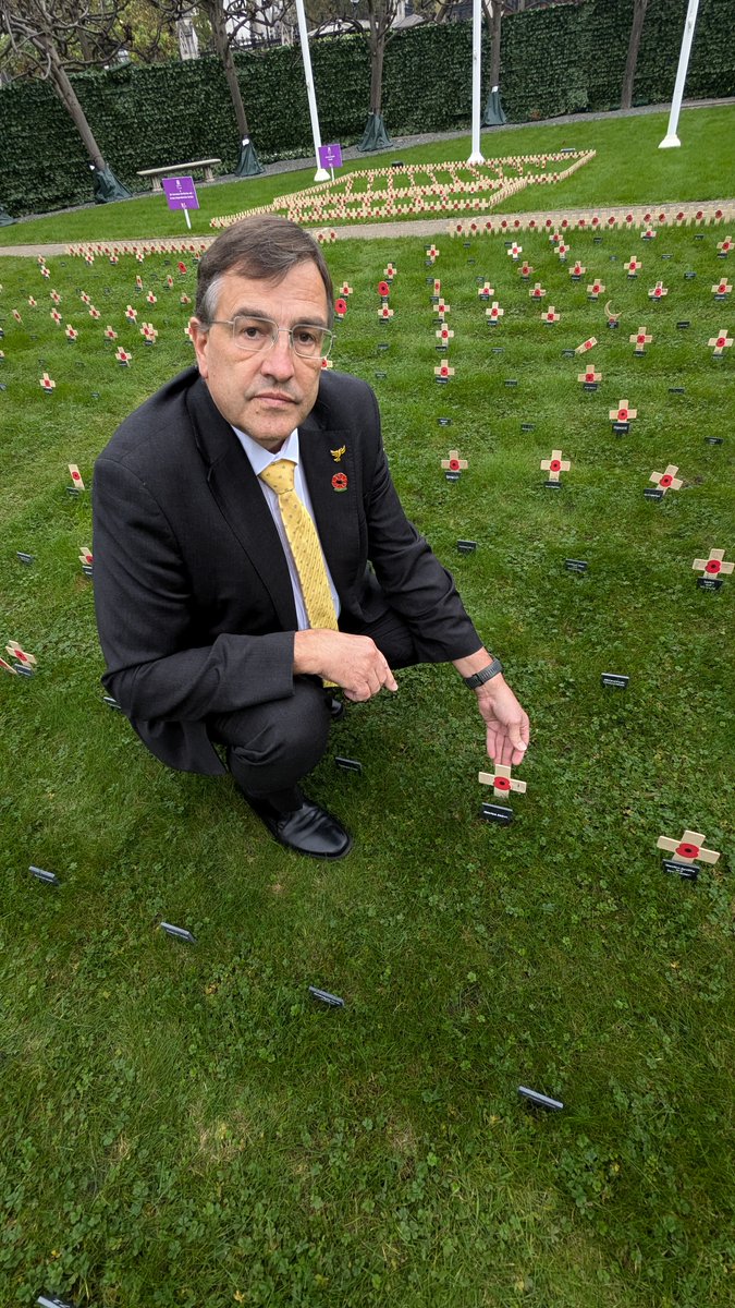 Yesterday I planted the cross for Newton Abbot in Westminster for remembrance. Security and freedom in Europe should never be taken for granted.