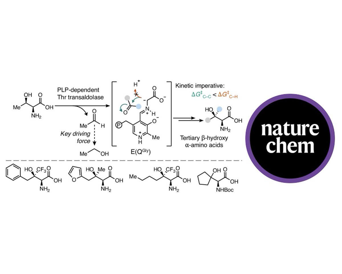 IQCC UdG (@iqccudg) on Twitter photo Check our latest work about biocatalytic asymmetric aldol addition into unactivated ketones by J Soler and
@marcGBQ in collaboration with @BullerLab in <a href="/NatureChemistry/">Nature Chemistry</a>
#NewPaper #openaccess <a href="/DIMOCAT_iqcc/">DiMoCaT_IQCC</a>
iqcc.udg.edu/2024/11/06/bio… Check our latest work about biocatalytic asymmetric aldol addition into unactivated ketones by J Soler and
@marcGBQ in collaboration with @BullerLab in <a href="/NatureChemistry/">Nature Chemistry</a>
#NewPaper #openaccess <a href="/DIMOCAT_iqcc/">DiMoCaT_IQCC</a>
iqcc.udg.edu/2024/11/06/bio…