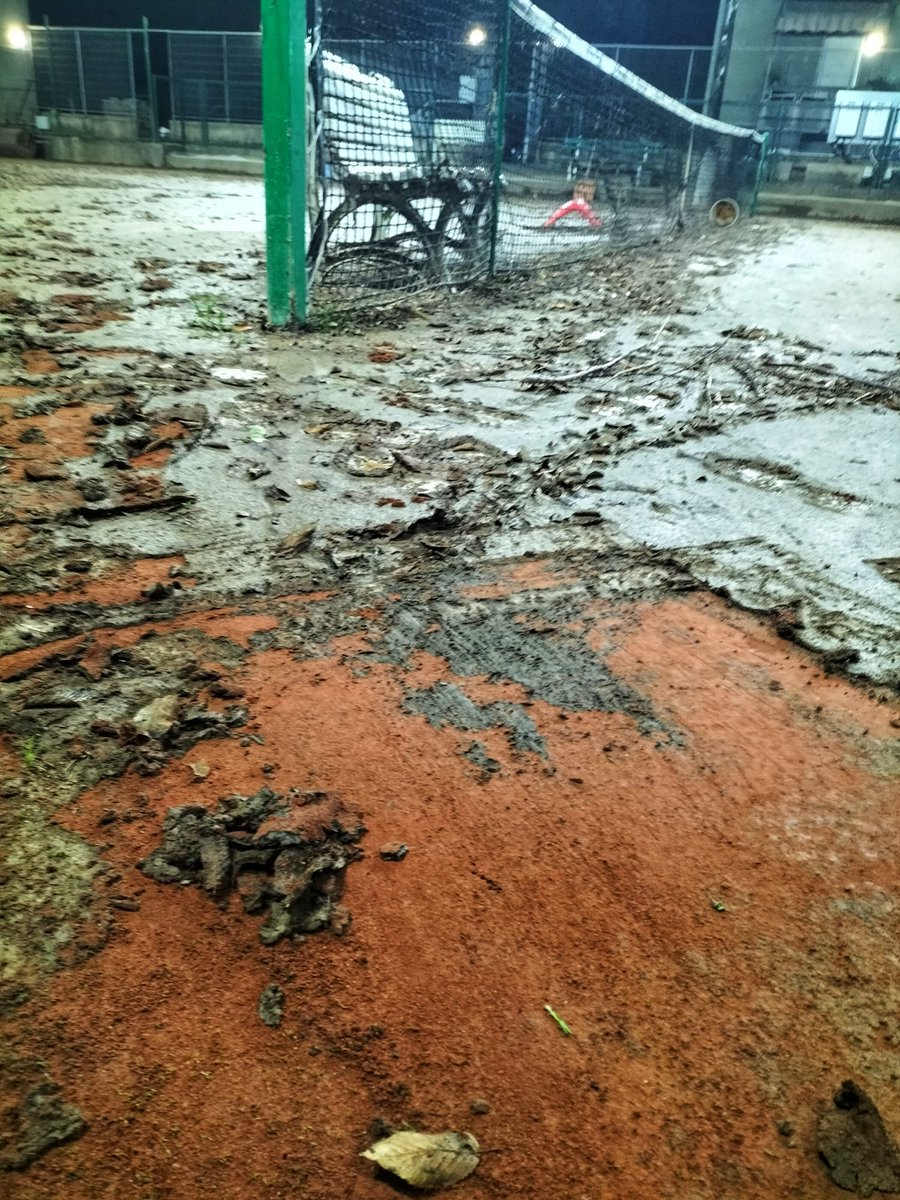 Federico Ferrero tweet media