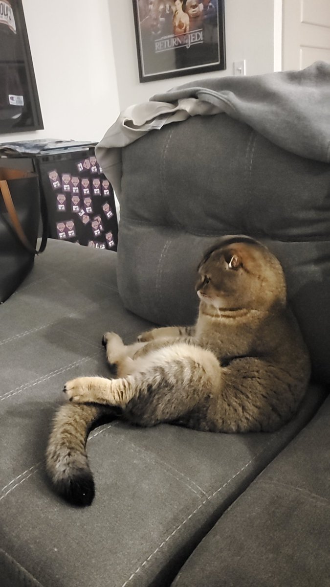 Simplistic tweet media