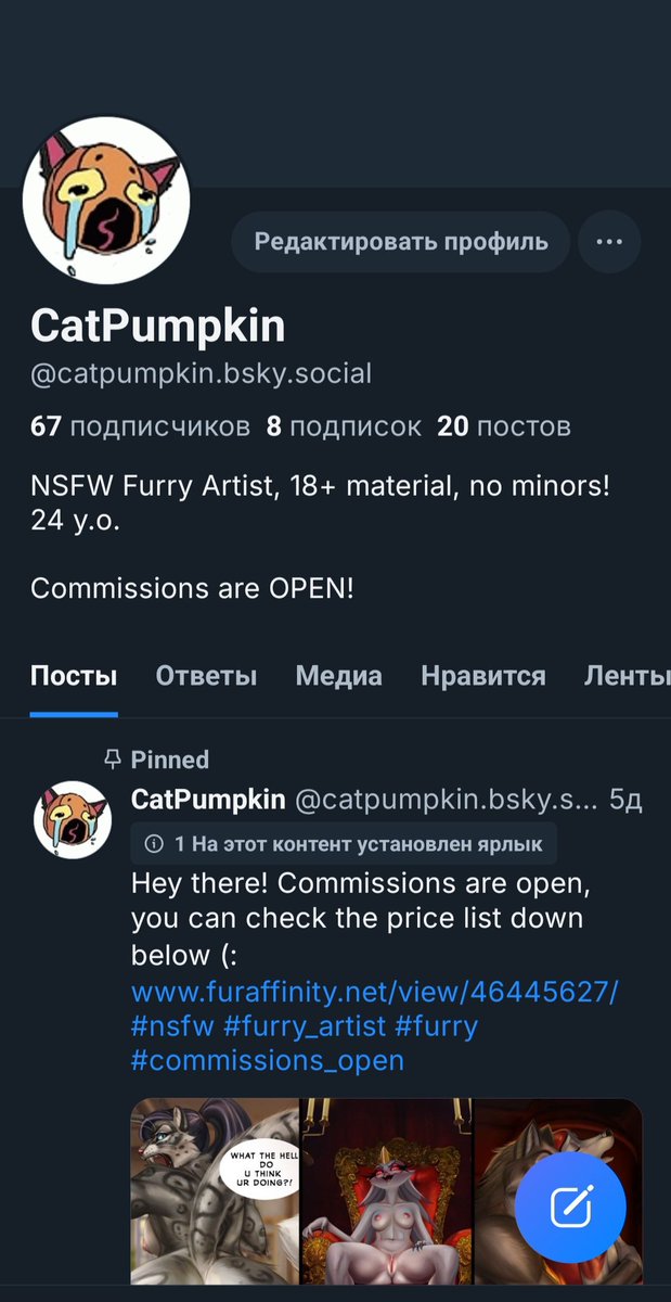 CatPumpkin tweet media