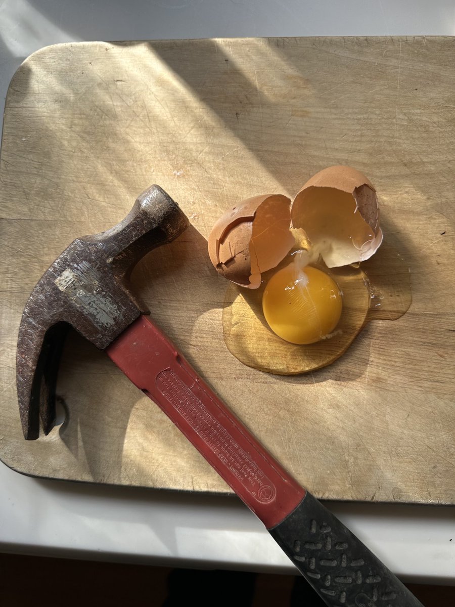 tcboyle's tweet photo. The egg. https://t.co/viS0YO0syM